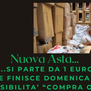 Asta Resi Amazon di Agosto